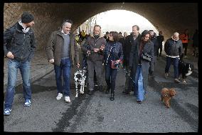 Exclusive - Dog Wellness Spaces in Paris With Rachida Dati - Paris