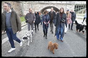 Exclusive - Dog Wellness Spaces in Paris With Rachida Dati - Paris