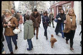 Exclusive - Dog Wellness Spaces in Paris With Rachida Dati - Paris