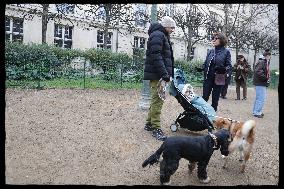 Exclusive - Dog Wellness Spaces in Paris With Rachida Dati - Paris