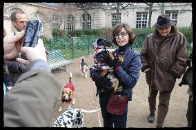 Exclusive - Dog Wellness Spaces in Paris With Rachida Dati - Paris