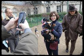 Exclusive - Dog Wellness Spaces in Paris With Rachida Dati - Paris