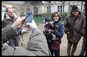 Exclusive - Dog Wellness Spaces in Paris With Rachida Dati - Paris