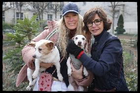 Exclusive - Dog Wellness Spaces in Paris With Rachida Dati - Paris