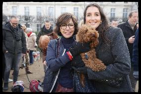 Exclusive - Dog Wellness Spaces in Paris With Rachida Dati - Paris