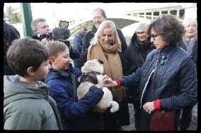 Exclusive - Dog Wellness Spaces in Paris With Rachida Dati - Paris