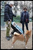 Exclusive - Dog Wellness Spaces in Paris With Rachida Dati - Paris