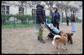 Exclusive - Dog Wellness Spaces in Paris With Rachida Dati - Paris