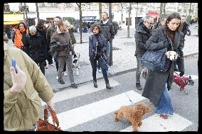 Exclusive - Dog Wellness Spaces in Paris With Rachida Dati - Paris