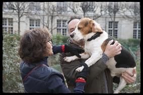 Exclusive - Dog Wellness Spaces in Paris With Rachida Dati - Paris
