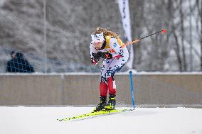 Viessmann FIS Nordic Combined World Cup