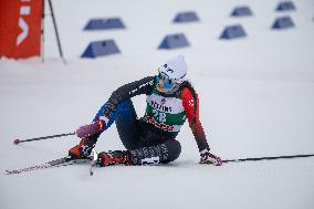 Viessmann FIS Nordic Combined World Cup
