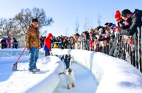 Ice And Snow Amusement Park