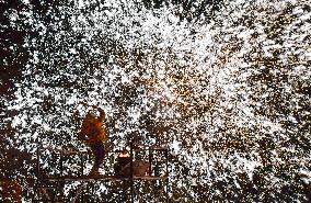 Ice And Snow Amusement Park