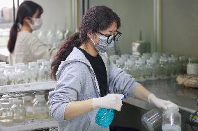 Agriculture Science And Technology