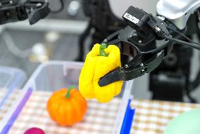 Humanoid Robot Data Collection Training Ground in Qingdao