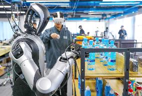 Humanoid Robot Data Collection Training Ground in Qingdao