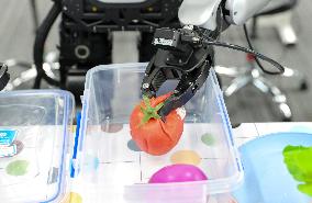 Humanoid Robot Data Collection Training Ground in Qingdao