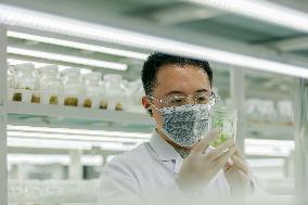 Agriculture Science And Technology