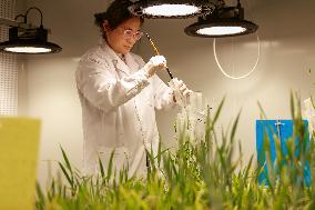 Agriculture Science And Technology