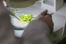 Agriculture Science And Technology