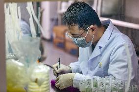 Agriculture Science And Technology