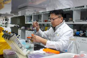 Agriculture Science And Technology