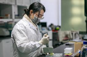 Agriculture Science And Technology