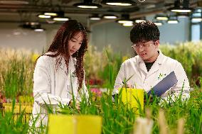 Agriculture Science And Technology