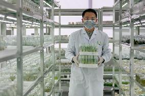 Agriculture Science And Technology