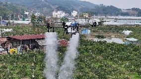 Intelligent Agriculture