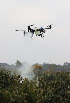 Intelligent Agriculture