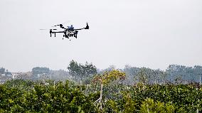 Intelligent Agriculture