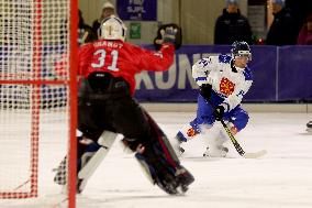 Bandy World Championships