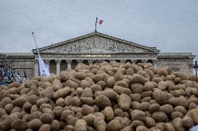 Farmers Dump 30 Tonnes of Potatoes on The Concorde Bridge - Paris