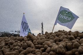 Farmers Dump 30 Tonnes of Potatoes on The Concorde Bridge - Paris