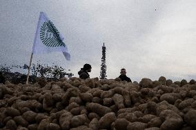 Farmers Dump 30 Tonnes of Potatoes on The Concorde Bridge - Paris