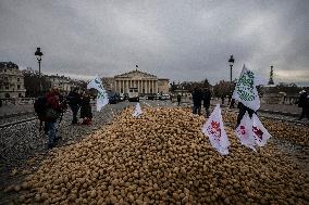 Farmers Dump 30 Tonnes of Potatoes on The Concorde Bridge - Paris