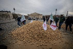 Farmers Dump 30 Tonnes of Potatoes on The Concorde Bridge - Paris