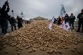 Farmers Dump 30 Tonnes of Potatoes on The Concorde Bridge - Paris