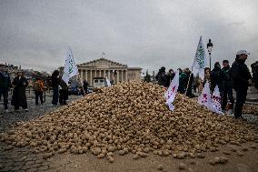 Farmers Dump 30 Tonnes of Potatoes on The Concorde Bridge - Paris