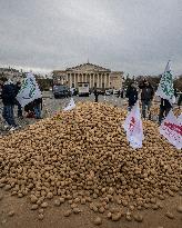 Farmers Dump 30 Tonnes of Potatoes on The Concorde Bridge - Paris