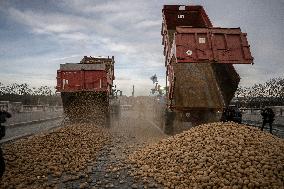 Farmers Dump 30 Tonnes of Potatoes on The Concorde Bridge - Paris