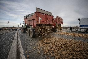 Farmers Dump 30 Tonnes of Potatoes on The Concorde Bridge - Paris