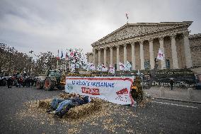 Farmers Dump 30 Tonnes of Potatoes on The Concorde Bridge - Paris