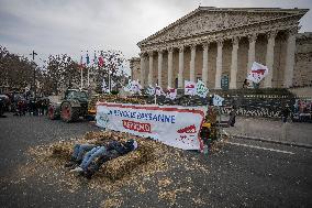 Farmers Dump 30 Tonnes of Potatoes on The Concorde Bridge - Paris
