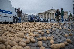 Farmers Dump 30 Tonnes of Potatoes on The Concorde Bridge - Paris