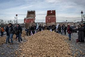 Farmers Dump 30 Tonnes of Potatoes on The Concorde Bridge - Paris