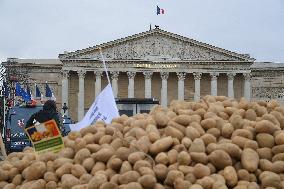 Farmers Dump 30 Tonnes of Potatoes on The Concorde Bridge - Paris
