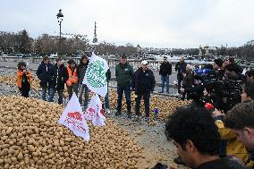 Farmers Dump 30 Tonnes of Potatoes on The Concorde Bridge - Paris